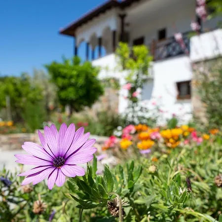 Garden House Psarogiannis